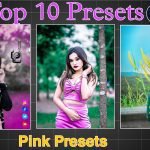 Haryana Dc jobs Pink Presets
